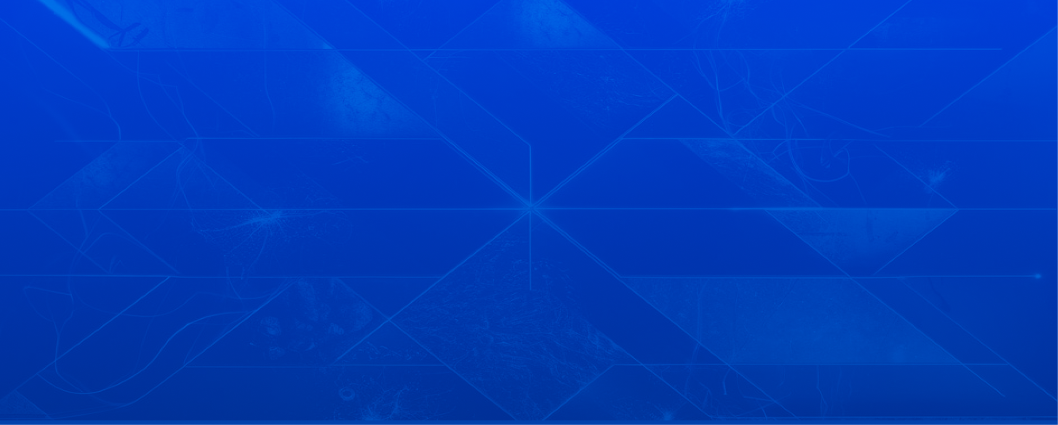 bg-footer